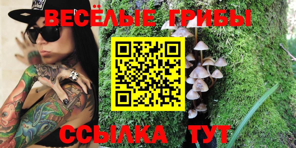 Псилоцибиновые грибы ЛСД Азнакаево